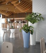 Assia Pots - Image 4