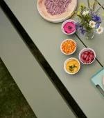 Hopper AA Picnic - Image 4