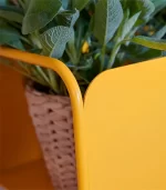 Lecio fm picolino planter 5