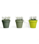 Lecio lx aria pots planter 2