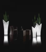 Lecio lx assia il pots 4