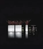 Lecio lx dune il planter 3