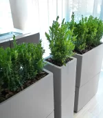 Lecio lx dune planter 5