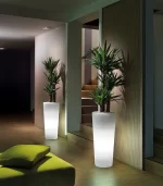 Lecio lx gaia cone il planter 3