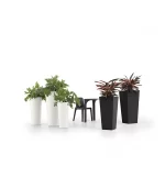 Lecio lx gaia quadro planter 2