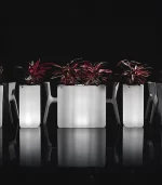 Lecio lx nebula il planter 3