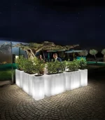 Lecio lx nebula il planter 4