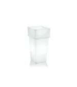 Lecio lx nova il planter 1