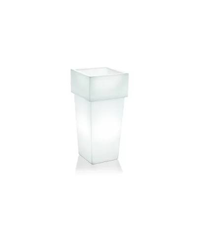 Lecio lx nova il planter 1