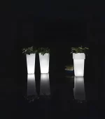 Lecio lx nova il planter 3
