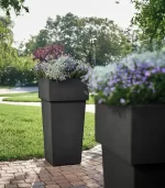 Lecio lx nova planter 2