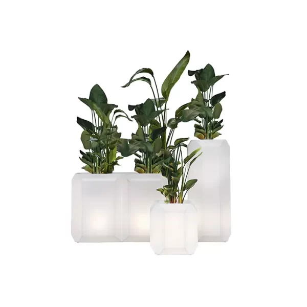Lecio my gem il planter 1