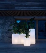 Lecio my gem il planter 2