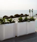 Lecio my gem planter 5