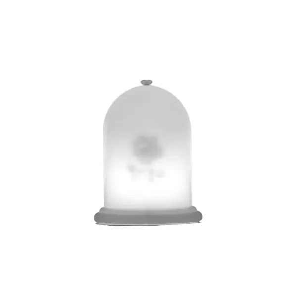 Lecio my light tales rose light 1