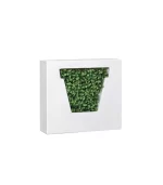 Lecio my non vaso divider 1