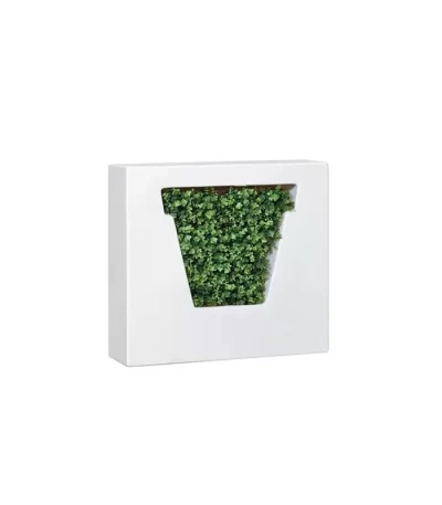 Lecio my non vaso divider 1