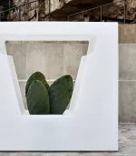 Lecio my non vaso divider 2