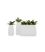 Lecio my pandora il planter 1