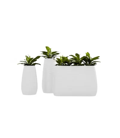 Lecio my pandora il planter 1