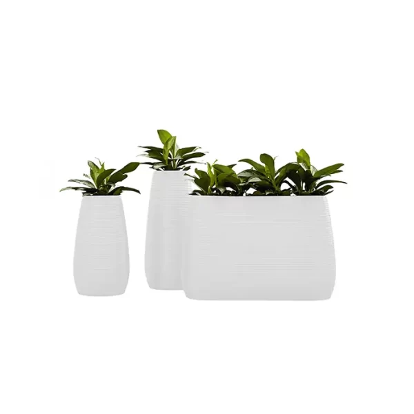 Lecio my pandora il planter 1