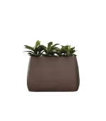 Lecio my pandora planter 1