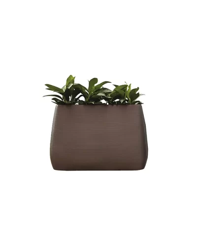 Lecio my pandora planter 1