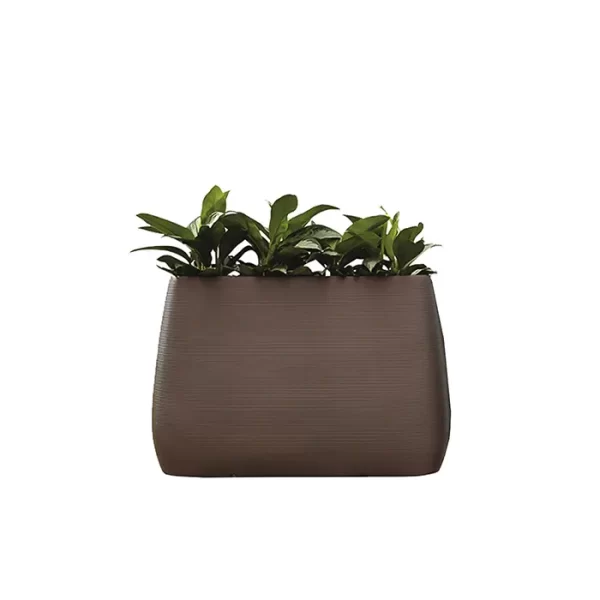 Lecio my pandora planter 1