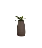 Lecio my pandora planter 2