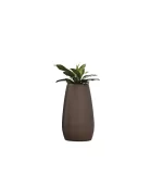 Lecio my pandora planter 3