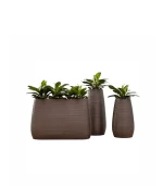 Lecio my pandora planter 4