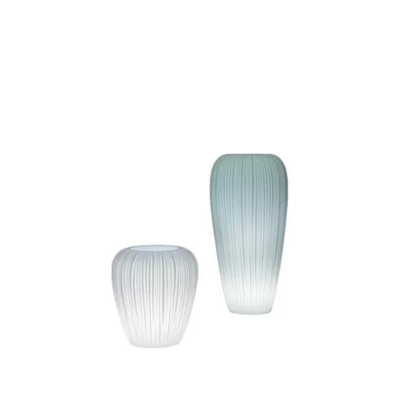 Lecio my skin il planter 1