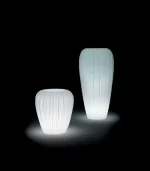 Lecio my skin il planter 2