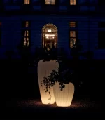Lecio my skin il planter 3