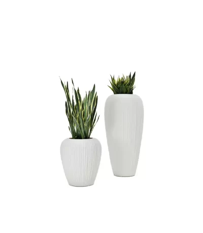 Lecio my skin planter 1