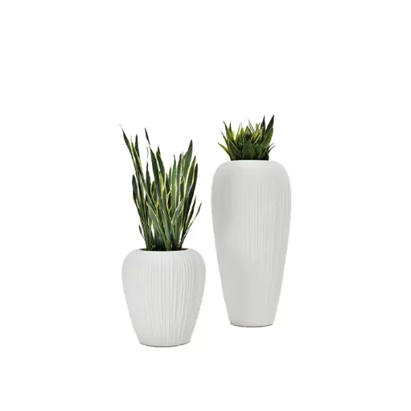 Lecio my skin planter 1