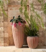 Lecio my skin planter 2