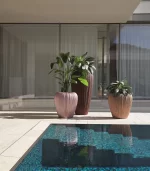 Lecio my skin planter 3