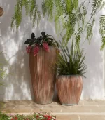 Lecio my skin planter 5