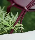 Lecio fm 1900 low armchair 7