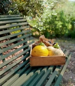 Louisiane 150 Bench - Image 5