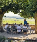 Lecio fm la mome dining chair 5